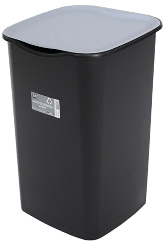 Sicignano - Poubelle Collecta Différenciée 50L - Couvercle Basculant Couleurs Gris, Bleu, Jaune, Vert - Pour Papier, Plastique, Verre, Indifférenciée - Fabriqué en Italie (3, Indifférenciée)