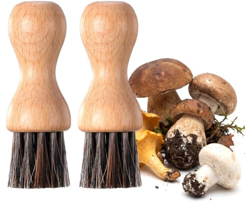 TIESOME 2 stycken grönsaksborste, svampborste, svampborste, svampborste, potatisborste, trädiskborste av bokträ och hästhår för porslin, kastruller och stekpannor (färg: A)