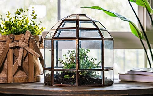 Urban Born - Handgefertigtes Glas-Terrarium, Vogelkäfig, verschiedene Größen und Ausführungen erhältlich (Antikstahl und Glas, groß)