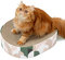 Conlun Kratzbretter Katze, 2 in 1 Ovales Katzenkratzbretter Schüssel Nest,Corrugated Lounge Kratzpappe für Katzen Bett, Katzen Kratzmöbel für Couch&Teppiche&Sofas(43x33x10cm)