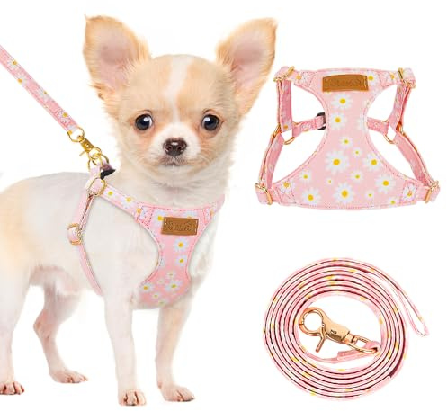Eyein Small Dog Harness & Lead Sets, Lightweight Adjustable Soft Daisy Pattern for Extra Small Dog Harness, No Pull Escape Proof Breathable Easy Fit Puppy Vest for Small Medium Dogs Cats(XXS)