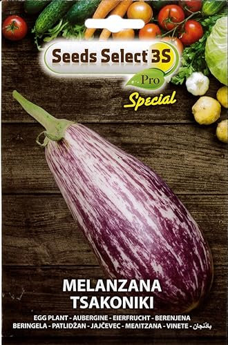 SEMI SEMENTI DI MELANZANA TSAKONIKI IN BUSTINA