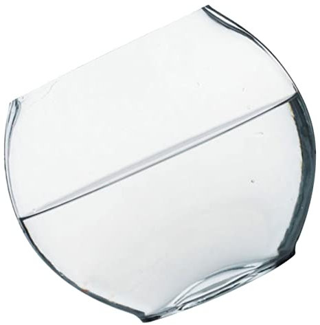 BESPORTBLE Dekorative Glasflasche Für Pflanzen Und Terrarien Ökologisches Mikro-landschaftsbehälter-dekor Für Wohnzimmer Schlafzimmer Büro