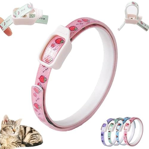 Langzeit Floh & Zeckenschutz Halsband für Hunde - Natürliches Insektenabwehrhalsband, Schützt effektiv gegen Flöhe, Zecken, Milben & Parasiten (Rosa, 5x5x1cm)