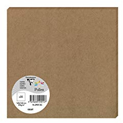 Clairefontaine 29012 C paket med 25 kort pollen 16 x 16 cm 200 g kraftpapper brun