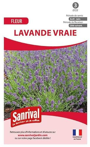Graines Lavande Vraie
