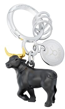 Metalmorphose – Llavero con colgante de signo zodiacal – signo astrológico – Regalo para hombre, mujer y niño