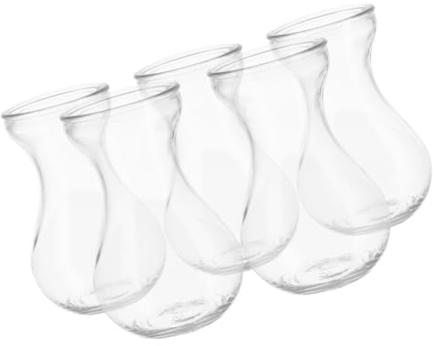 jojofuny Lot de 5 Vases en Verre Transparent pour Jacinthe d'eau Conteneurs Hydroponiques Décoratifs pour Bureau et Maison Vases à Fleurs Modernes et Minimalistes Décoration Intérieure