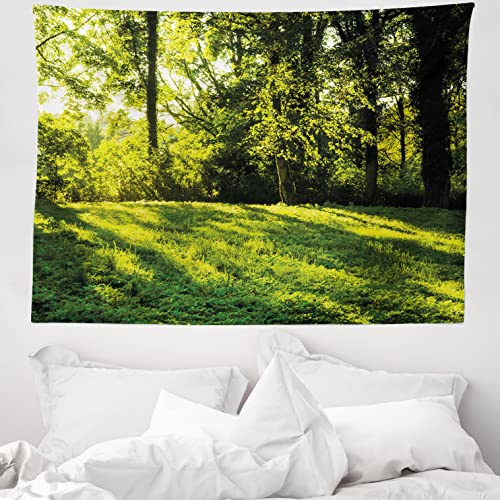 ABAKUHAUS Grün Wandteppich, Rising Sun Beams Wald aus Weiches Mikrofaser Stoff Waschbar ohne Verblassen Digitaldruck, 150 x 110 cm, Grün