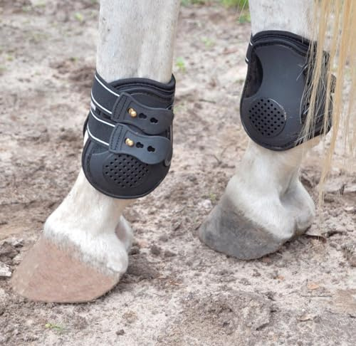 Jeffers Uniquely English Fetlock Boots for Horses, Pair - Breathable Neoprene Horse Leg Protection for Equine Ankles & Lower Leg Support for High Impact Activity & Daily Use - Medium Black