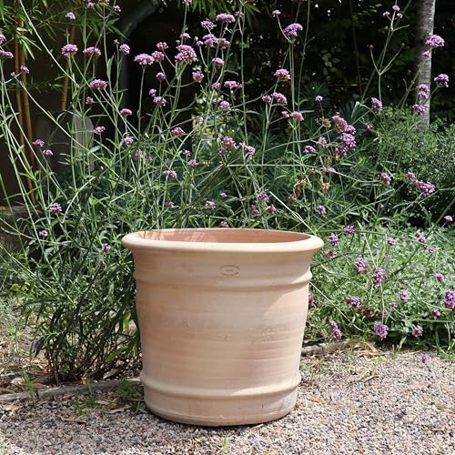 Palatina Werkstatt , Vaso per fiori in terracotta fatto a mano, assolutamente resistente al gelo, stabile, per piante, per interni ed esterni, Canna, 40 cm