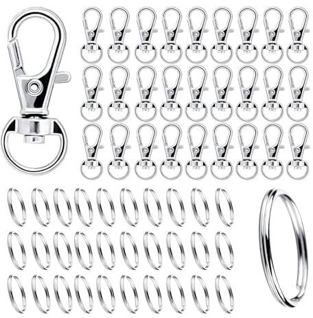200 Stück Karabiner Schlüsselanhänger Ringe Schlüsselringe mit Drehgelenk | DAGORD Schlüsselkarabiner Kleine Karabinerhaken für Taschen Schlüsselbänder Basteln Anhänger und DIY-Projekte - Silber