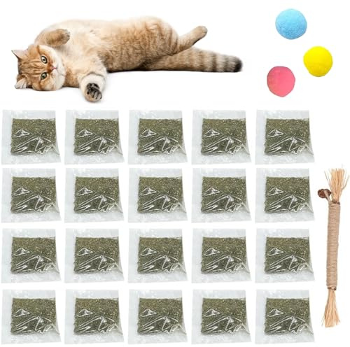 20 pezzi Catnip Gatti, Erba Gatta, Erba Naturale Premium, Catnip Organico