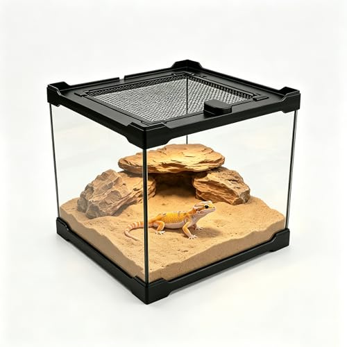 Terrarium Reptile - Terrario de cristal para reptiles y plantas (20 x 20 x 17 cm, con manta de ventilación)
