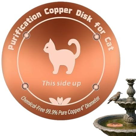 Disque De pour - Plateau en Naturel Renforcé De 10 Cm | Salle De Bain en Plein Air pour Boire Et Décorer, dans La Maison, Le Jardin, Le Cor