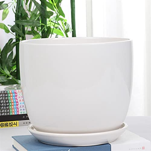 Keramik-Blumentopf, groß, weiß/schwarz, schlichte Persönlichkeit mit Tablett, Blumen-, Grünpflanzen-Pflanzbehälter, Innen- und Außenbereich, für Orchideen, Kräuter, Blumen, Sukkulenten, Kakteen, Zu
