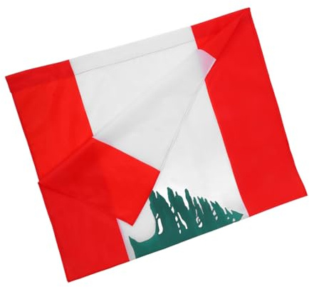 DIYEAH Drapeau National du Liban en Polyester Fourreau pour Mât – Décoration Intérieure et Extérieure Jardin – Léger et Portable – Symbole Culturel Libanais –