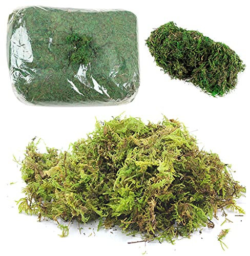 Qixuer 200g Kunstmoos zum Basteln, Islandmoos, Künstliches Moos zum Dekorieren, Grünes Künstliches Ren-Moos Flechten Simulation Fake Grün Pflanzen für Pflanzen Patio Garten Dekoration