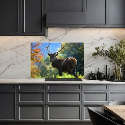 banjado Küchenrückwand Glas ohne Bohren 120x80cm – Glasrückwand Küche mit Motiv Hirsch/Spritzschutz Küchenrückwand Glas/selbstklebende Küchenrückwand Platte - magnetisch & beschreibbar