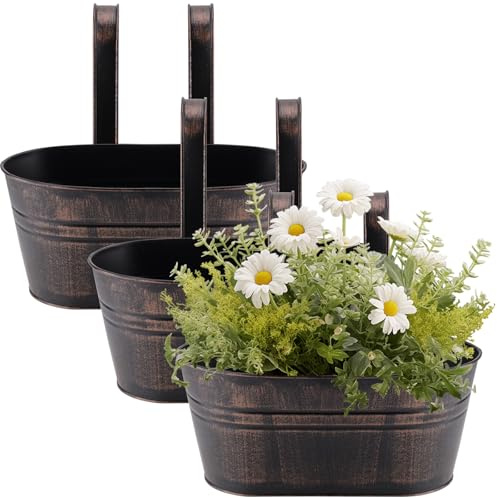 HEIYUET Set di 3 Vasi di Fiori da Appendere Esterno, vintage, Vaso da fiori Sospeso in metallo,con Doppio Gancio Rimovibile, per Balcone Recinzione Casa Decorazione