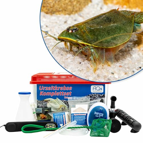 AQ4Aquaristik Triops australiensis Ayers Rock (grün) Premium Komplettset 6L mit LED, Filterung. Heizung, Zuchtansatz, Zubehör