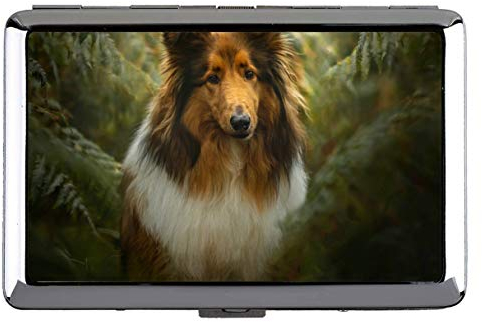 Hard Box Full Pack Zigarettenetui, Haustier Shetland Sheepdog Dog Professional Visitenkarte