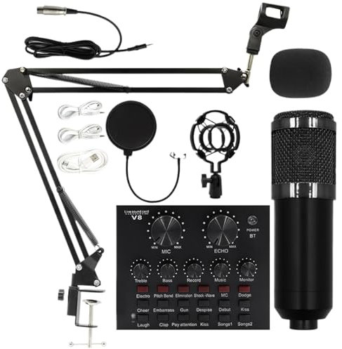 XIAOXIAOYU Ensemble de Microphones à condensateur, Ensemble de Microphones d'enregistrement, Équipement Professionnel de Diffusion en Direct, Fournitures de Studio d'enregistrement, kit de Diffusion