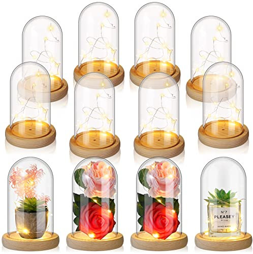 Roowest 12 Pcs Plastic Cloche Dome with Rustic Wood Base and LED Light Plastic Dome Display Case Jar for Wedding Rose Tabletop Centerpiece Decoration