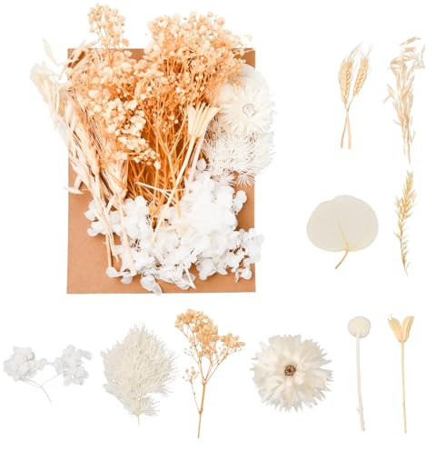 Flores secas de NiceLand, ramo de flores secas blancas, decoración de bodas, marcos de fotos, arte, manualidades, resina