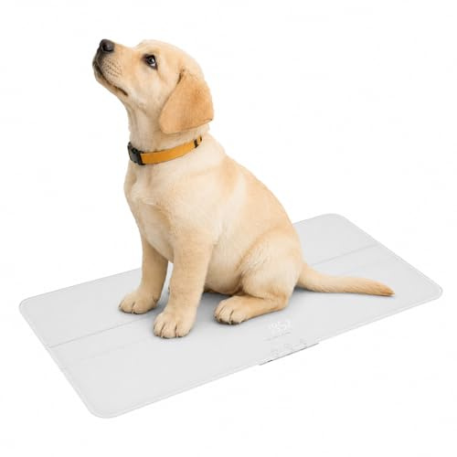 Xigner Balance numérique pour chiens Balance pour animaux de compagnie pour gros chiens et chats max. 100kg Précision de 10g Affichage LCD 3 modes de pesage kg lb oz Chargement USB Fonction Tara