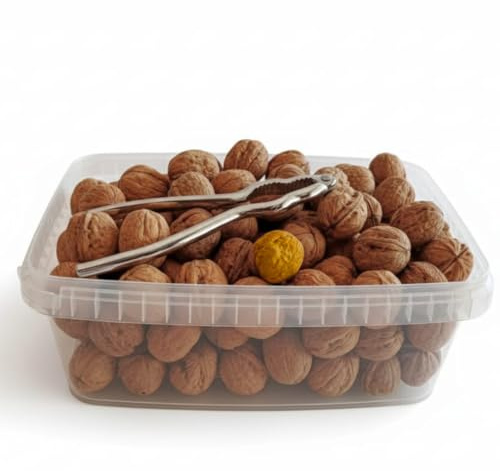 OLD TERRA NATURAL | Nueces cosecha nueva (3L) | Naturales cáscara con rompenueces incluido, alimentacion sana y saludable, frutos secos para salud ¡¡¡Busca la Nuez Dorada y Gana!!!