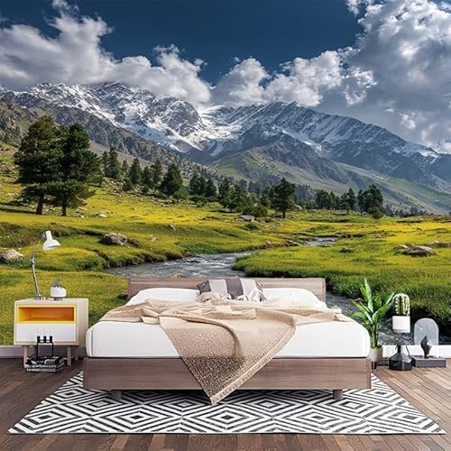 Papel Pintado Panorámico Fotomurales Paisajes Naturales 250x175 cm, Murales de Pared Decoración Póster Tejido No Tejido Paisaje de Pastizales de MontañA Nevada Personalizado 3D Para Salón Dormitorio