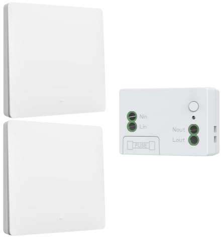 Kit d'interrupteur sans fil cinétique sans piles interrupteur auto-alimenté interrupteurs sans fil quinétique sans pile télécommande radio interrupteur d'éclairage sans fil RF (EU 1Gang 2V1 White)