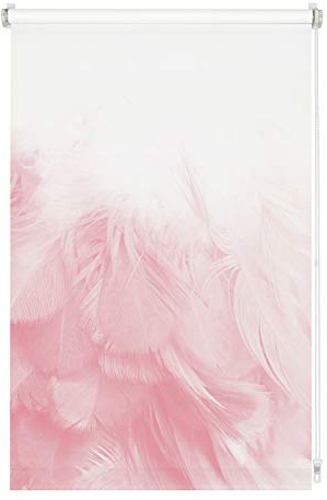 GARDINIA Estor Enrollable sin taladrar, para Fijar, Opaco, Protección de la intimidad, Protección antideslumbrante, Incl. Piezas de Montaje, Impresión Digital Plumas, Blanco/Estampado, 120x150 cm