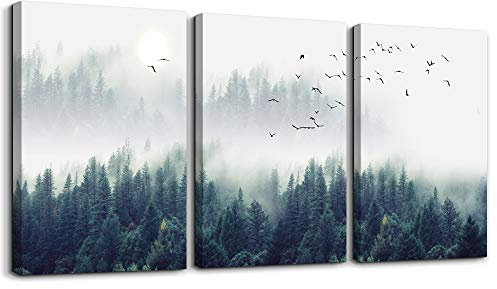 hyidecorart Leinwand Wald Bilder 30x40 cm 3er Set mit Rahmen für Wohnzimmer, Wanddeko Schlafzimmer Modern Wandbilder Schwarzwald Natur Grün Nebelwald Vögel Kunstdruck Flur küche Büro Villa Badezimmer