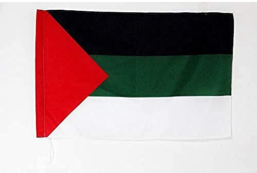 AZ FLAG Panarabismens flagga 2' x 3' för en stolpe – arabistiska flaggor 60 x 90 cm – banner 0,6 x 0,9 m med hål