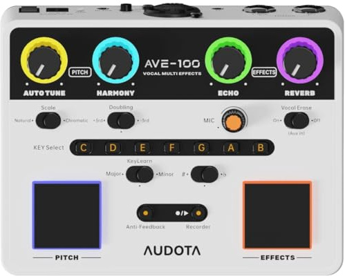 Audota AVE100 Vocal-Prozessor – Multieffekte für Gesang & Streaming, Hall, Delay, Tonhöhenkorrektur, USB-Audio-Interface, Live-Performance & Heimstudio