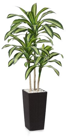 Fopamtri Künstlicher Drachenbaum 180 cm Kunstpflanze, Tropische Plastik Künstliche Pflanzenmit Braun Hohem PflanzgefäßUV Geschützt für Outdoor Wohnzimmer Schlafzimmer Büro Garten Dekoration (1 Stück)