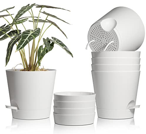 T4U 20cm Vasi per Piante Autoirriganti Set di 6, Vasi da Esterno Plastica Rotonda, Decorativi Interno Moderni con Sottovasi per Casa e Ufficio, Bianco
