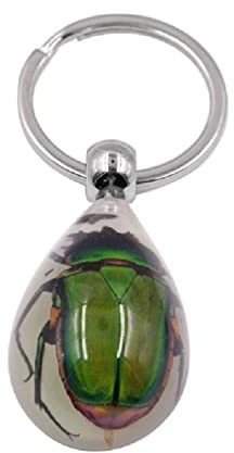 Ixkbiced Porte-clés Insecte Clair Porte-clés Insecte en résine véritable spécimen d'insecte Cadeau de fête Pendentif Cadeau d'anniversaire de Vacances pour Femmes Hommes Porte-clés Insecte Porte-clés