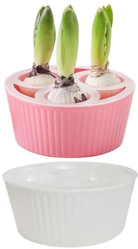 Tsawntd Paquete de 2 maceteros para Cultivo hidropónico – Jarrón Blanco de 3 Compartimentos con indicador de Nivel de Agua para Tulipanes, jacintos, narcisos, florero de Jacinto, bulbos hidropónicos