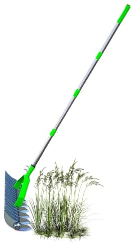 Râteau de démousse, poignée antidérapante, râteau nettoyeur d'herbe, pour plantation de balcon, assouplissement du sol, entretien extérieur et jardin