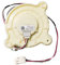 LICHIFIT Ricambio DA31-00287C B Ventola di condensazione Ventola Ad Aria Calda Ventilatore Motore per Samsung Frigorifero Riparazione Parte