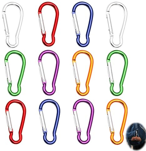 12 Pièces Mousquetons, Aluminium D Forme Mousqueton Mini Mousqueton Micro Multi-Usage Clips Mousquetons Petit Escalade pour l'Extérieur Le Camping La Pêche La Randonnée Le Tourisme à Dos