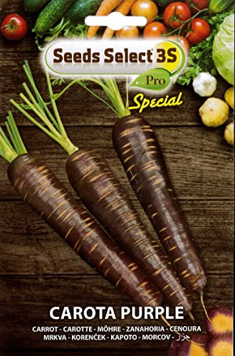 SEEDSSELECT CAROTA VIOLA PURPLE SEMI IN BUSTINA