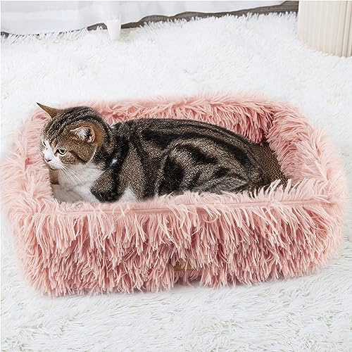 TIGOADT Kratzbrett Pappe mit Kratzbox für Katze (44×34×14 cm, Rosa) | Robuster Kratzkarton Groß, Katzenbett mit Kratzbrettern, Wellpappe, abnehmbar, doppelseitig nutzbar, Möbelschutz