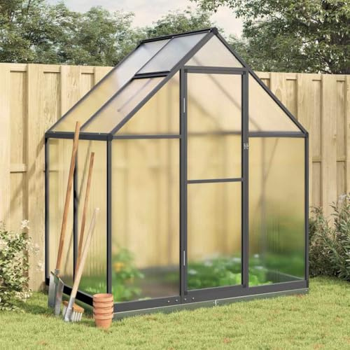 Générique Serre avec Cadre de Base Anthracite 169x114x202 cm Aluminium, Maison & Jardin, Pelouses & Jardins, Jardinage, Serres de Jardin, Anthracite, (Poids 26.33KG)
