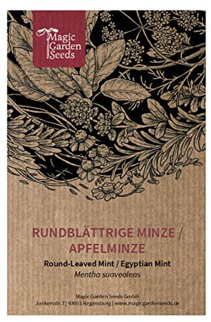 Menta glaciale (Mentha suaveolens) - circa 1000 semi