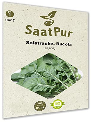 SaatPur Rucola Samen, Saatgut für ca. 600 Pflanzen