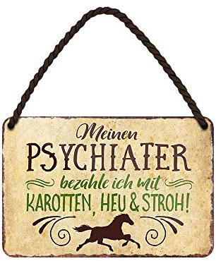 Lustiges Blechschild für Pferdebesitzer Pferdehalter Pferdeliebhaber - witziges Deko Metallschild mit Kordel und Saugnapf - Geschenkidee für Reiterinnen und Reiter - Dekoration Reiterhof - 18x12cm